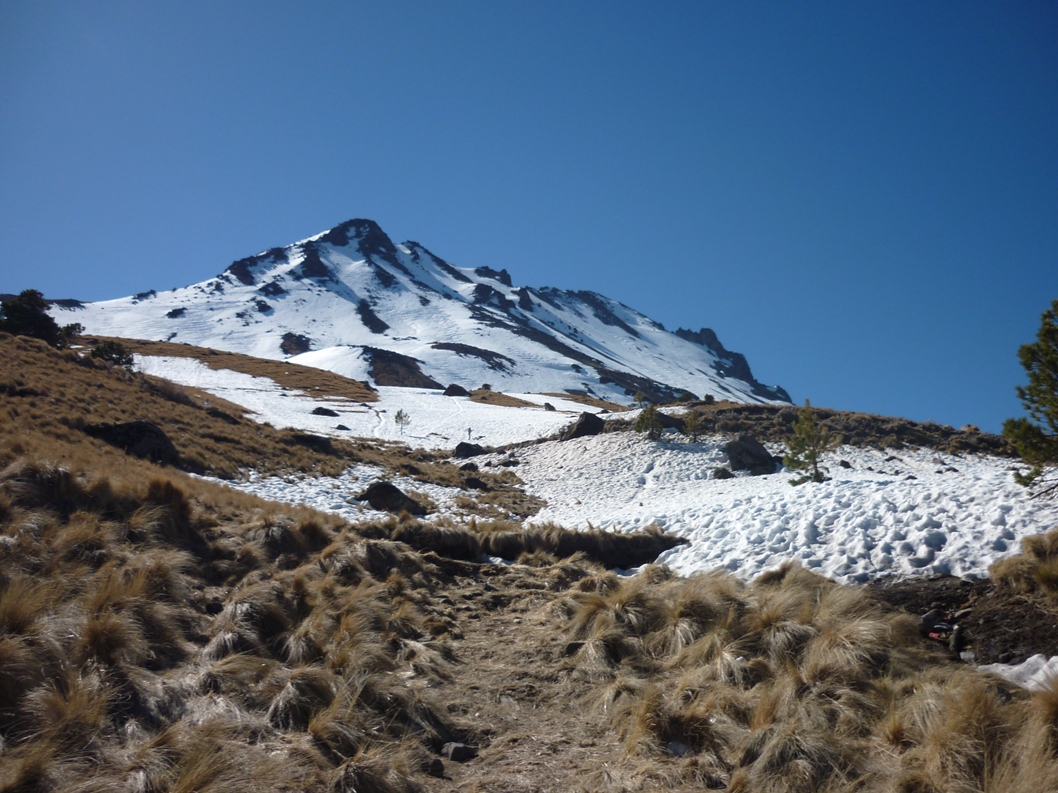 Nevado de Toluca desde el bosque