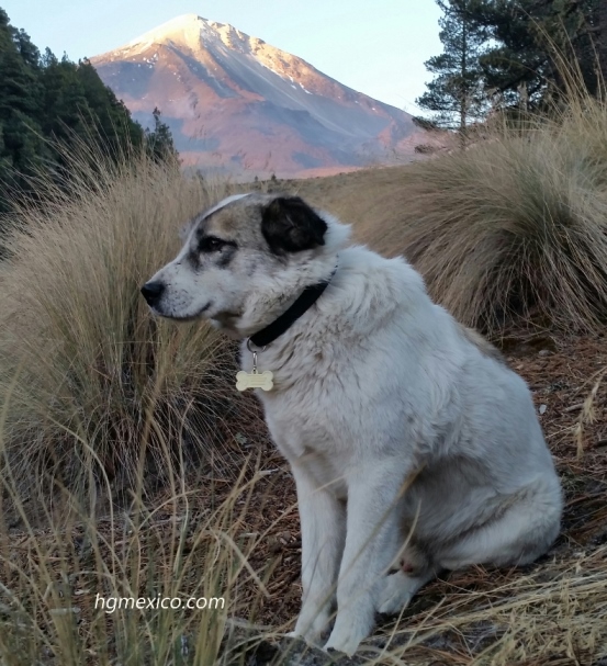 Citlaltepetl pico de orizaba 