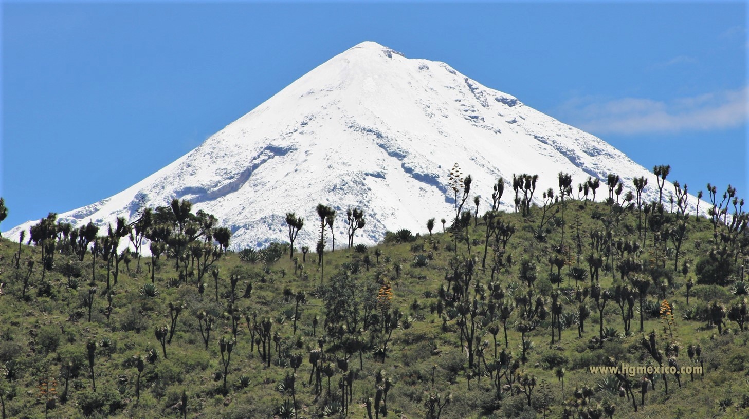 Yucas y Pico de Orizaba