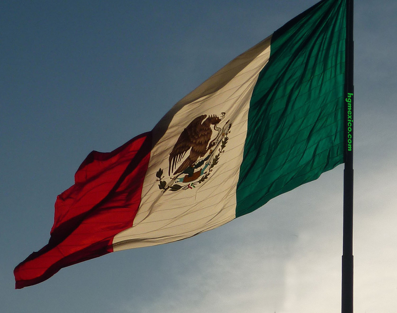 Mexican flag 